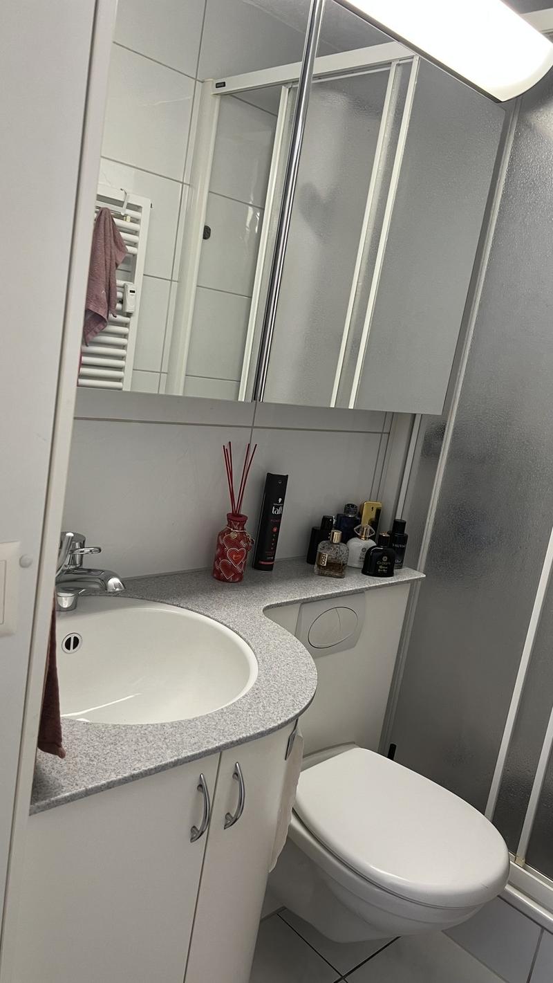 1 Zimmer Wohnung zum vermieten (4)
