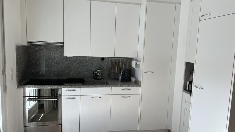 1 Zimmer Wohnung zum vermieten (7)