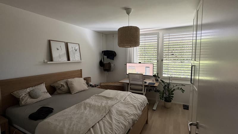 Lichtdurchflutete Wohnung am Zürichberg ruhig gelegen und perfekt angebunden (9)