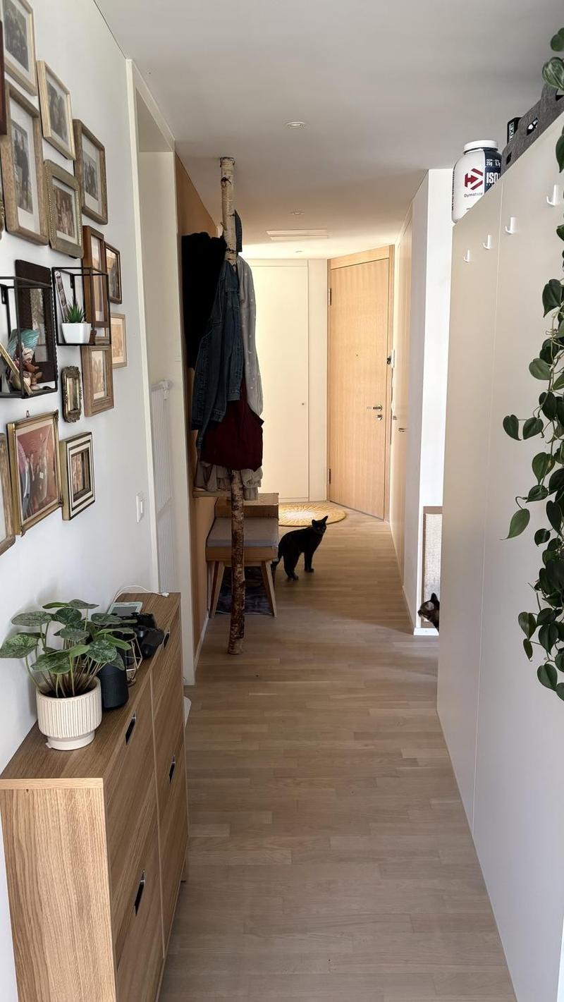 Lichtdurchflutete Wohnung am Zürichberg ruhig gelegen und perfekt angebunden (6)