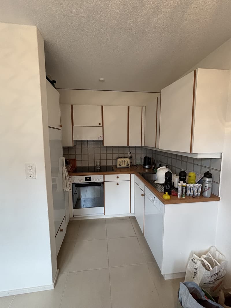 1 ½ rooms apartment, 8800 Thalwil (5)
