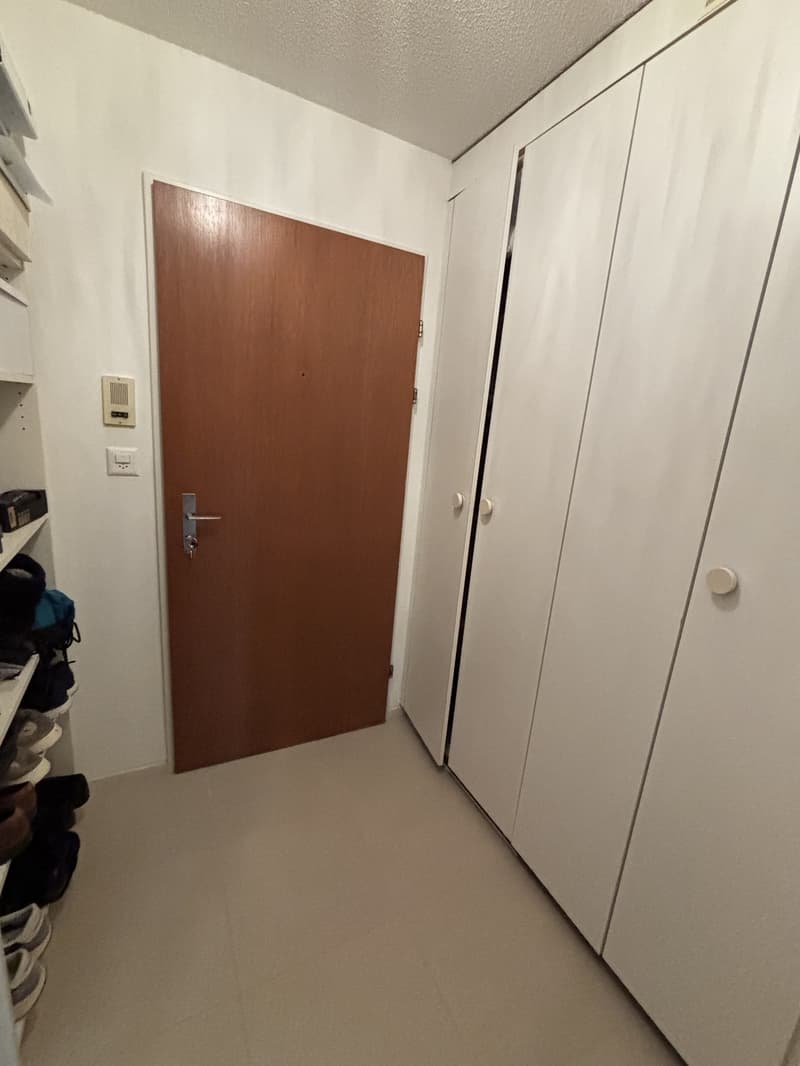 1 ½ rooms apartment, 8800 Thalwil (3)