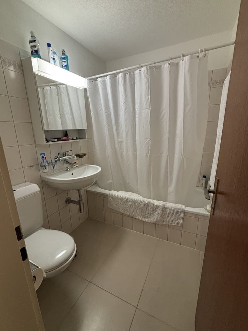 1 ½ rooms apartment, 8800 Thalwil (4)