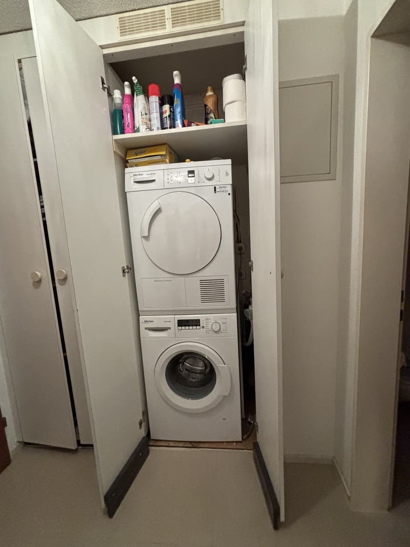 1 ½ rooms apartment, 8800 Thalwil (2)