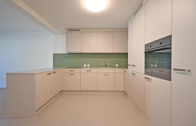 3.5 Zimmer Wohnung nahe Eigerplatz - per sofort (5)