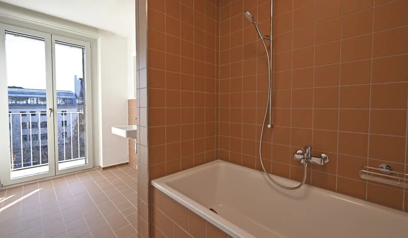 3.5 Zimmer Wohnung nahe Eigerplatz - per sofort (3)