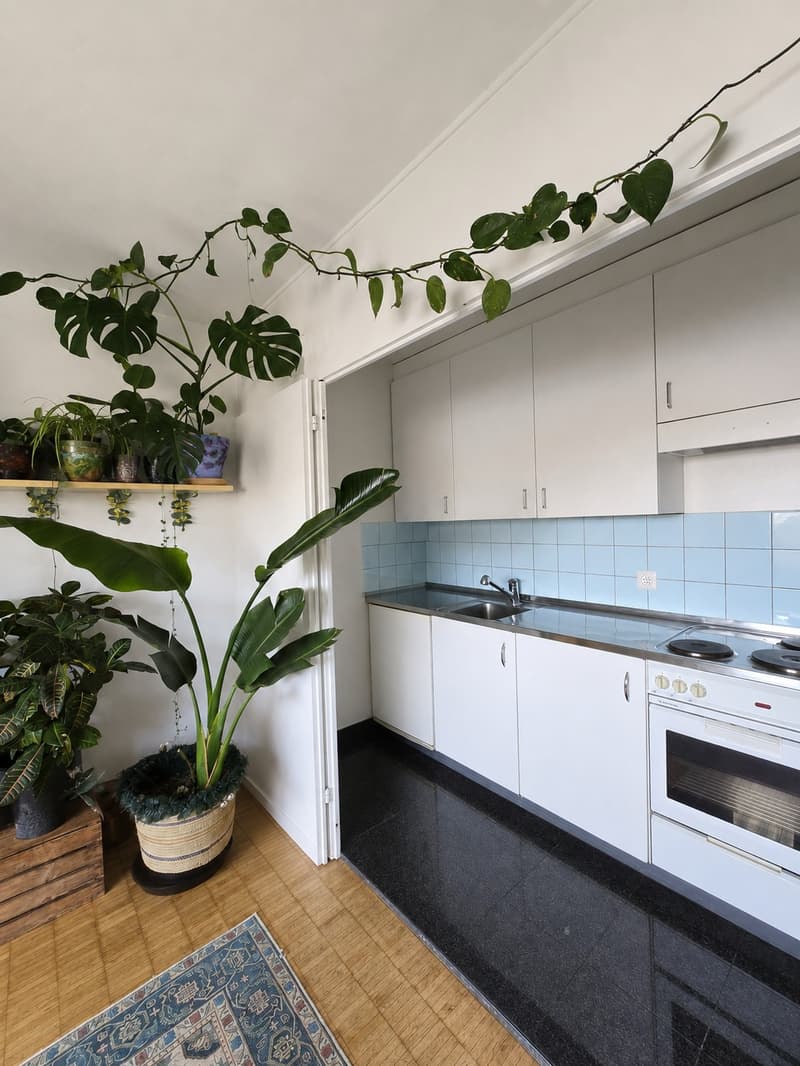 Furnished 2 room top-floor apartment with sunny terrace  Basel (7)