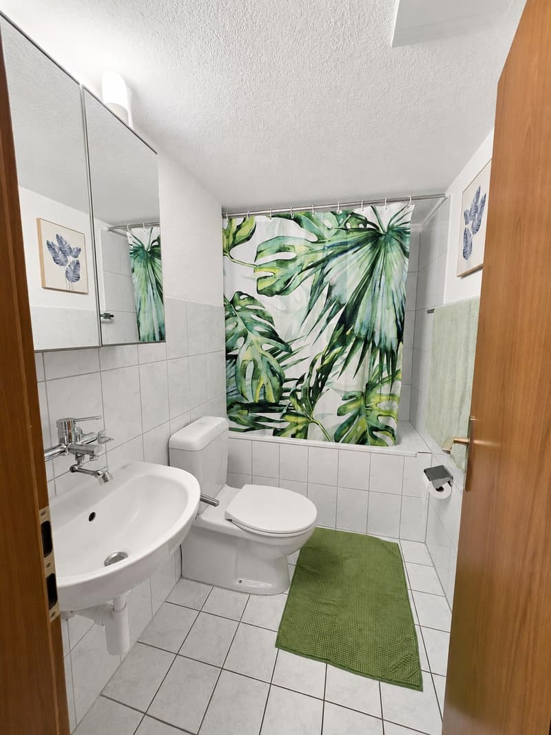 Furnished 2 room top-floor apartment with sunny terrace  Basel (6)