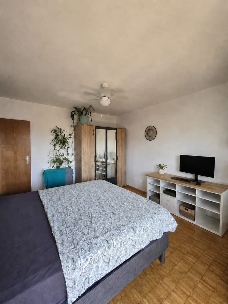 Furnished 2 room top-floor apartment with sunny terrace  Basel (3)