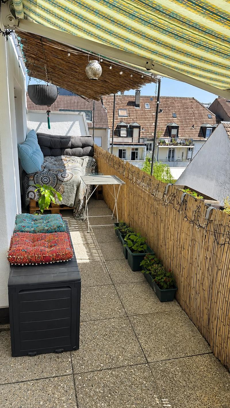 Furnished 2 room top-floor apartment with sunny terrace  Basel (4)