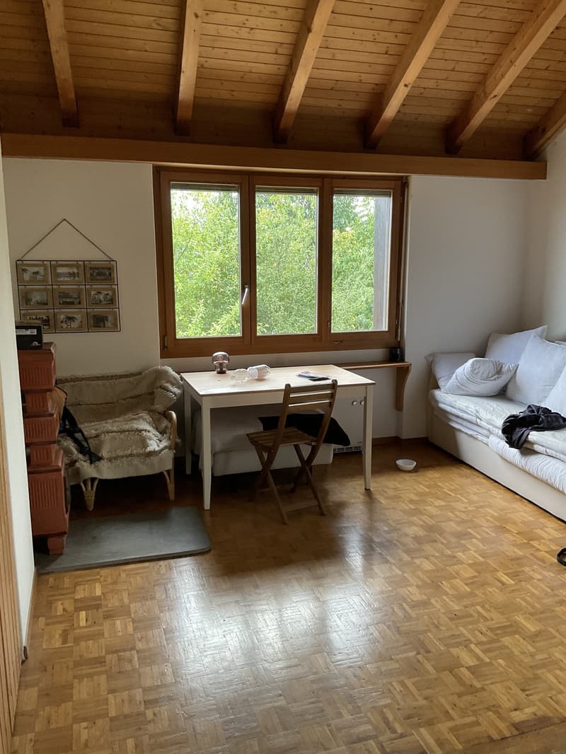 Room for a couple in Uerikon. (9)
