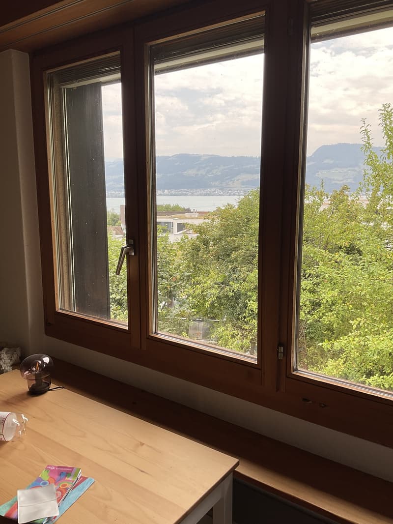Room for a couple in Uerikon. (3)
