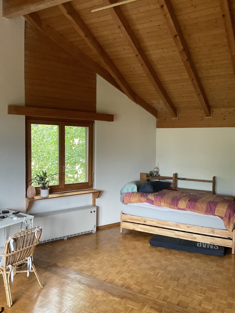 Room for a couple in Uerikon. (4)