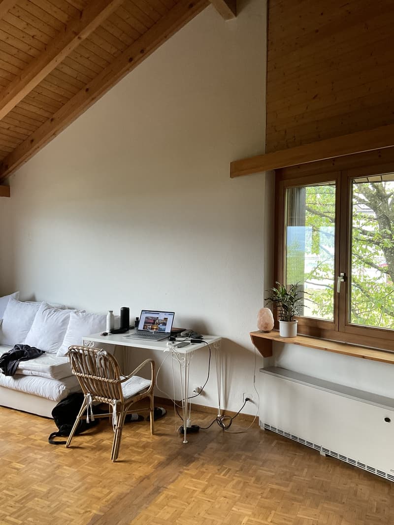 Room for a couple in Uerikon. (8)