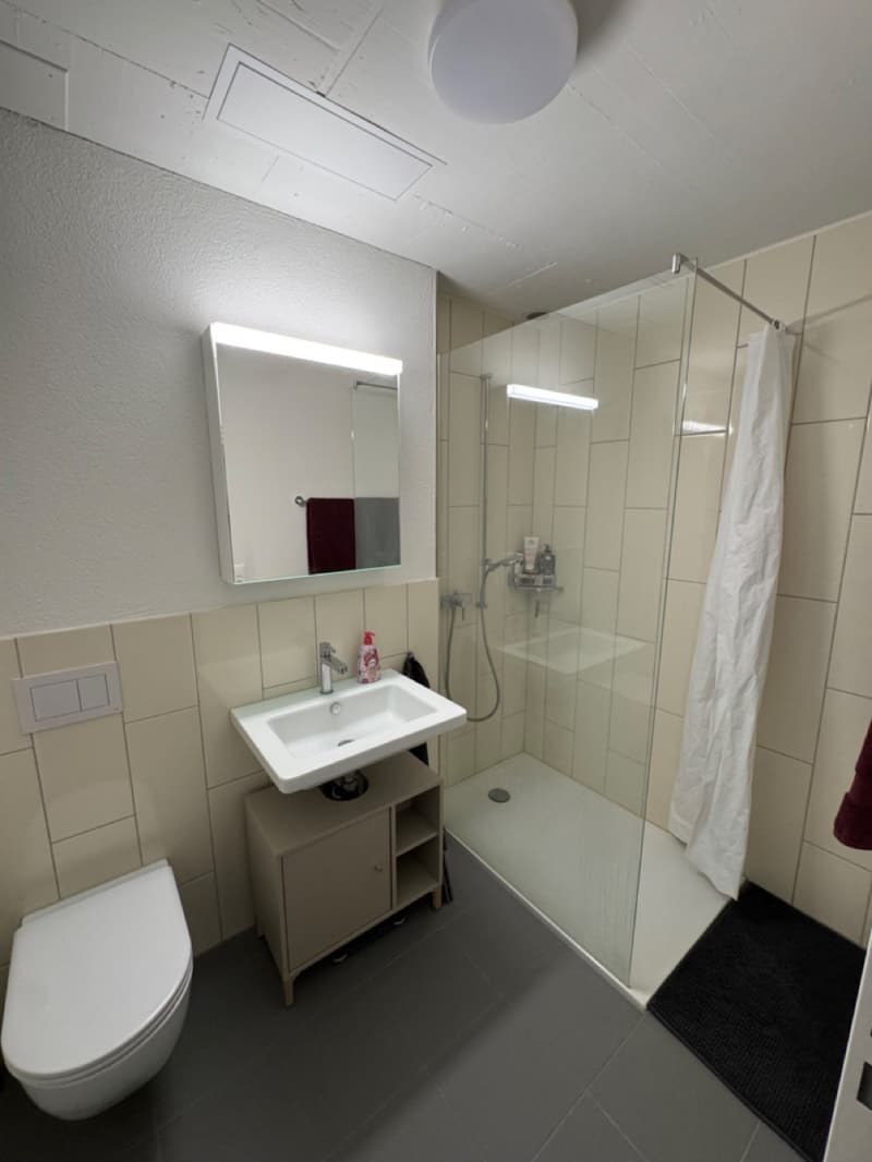 Moderne & helle 4.5-Zimmer Wohnung im Younic Quartier (5)