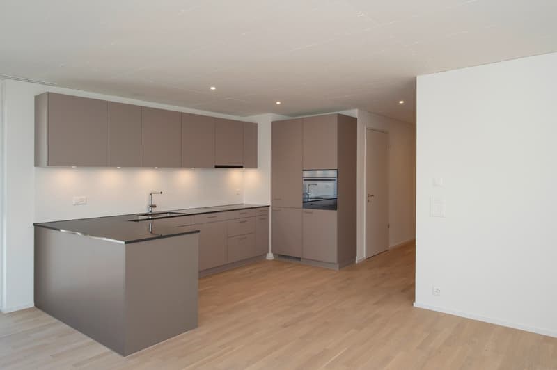 Moderne & helle 4.5-Zimmer Wohnung im Younic Quartier (1)