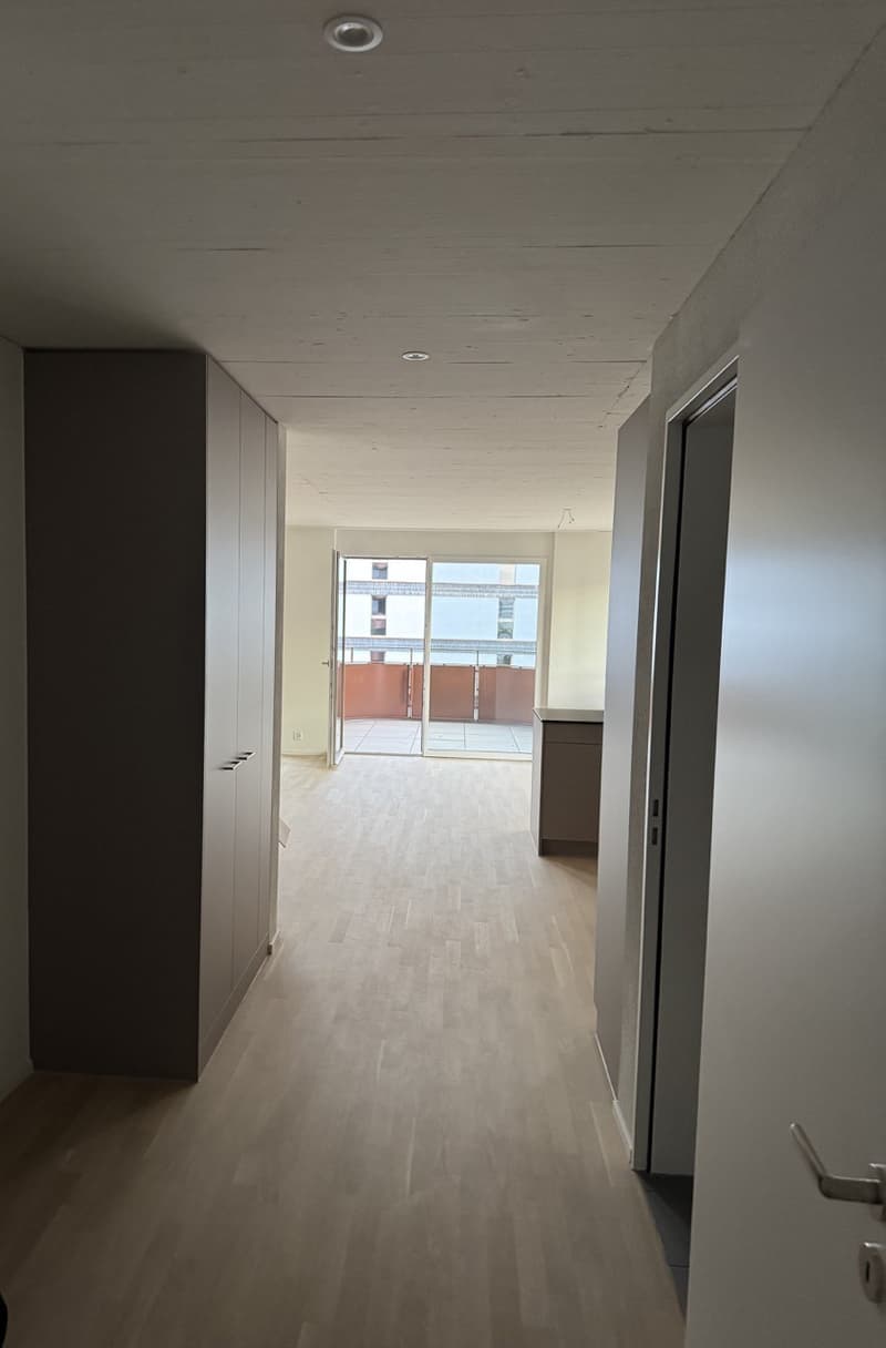 Moderne & helle 4.5-Zimmer Wohnung im Younic Quartier (4)