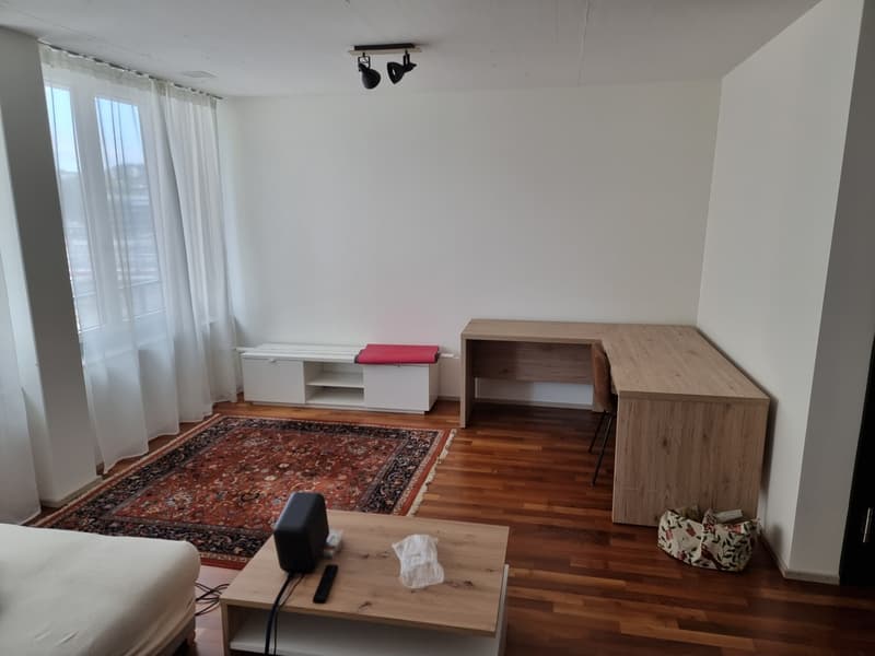 WG-Zimmer ab 1.11.2026 in Zürich-Altstetten (English below) (4)