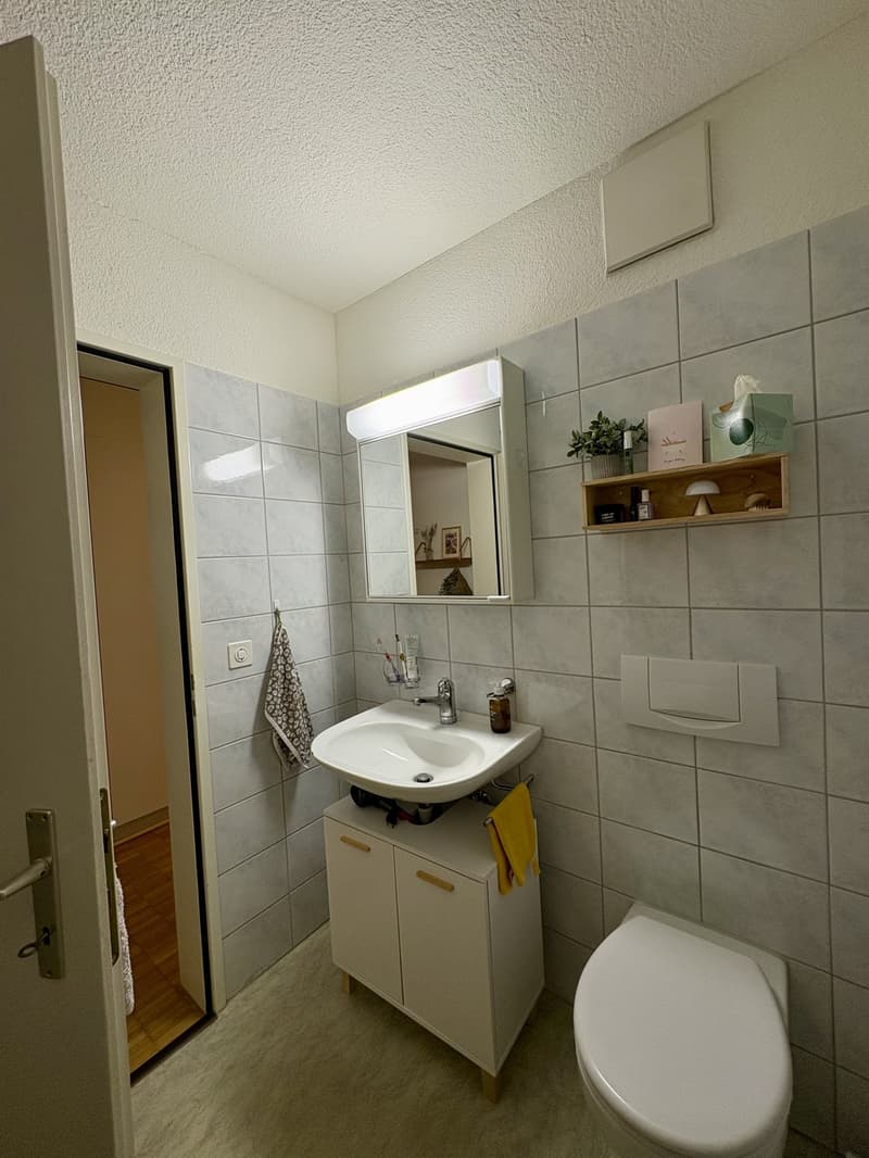Helle 3.5-Zi. Wohnung an ruhiger Lage (6)