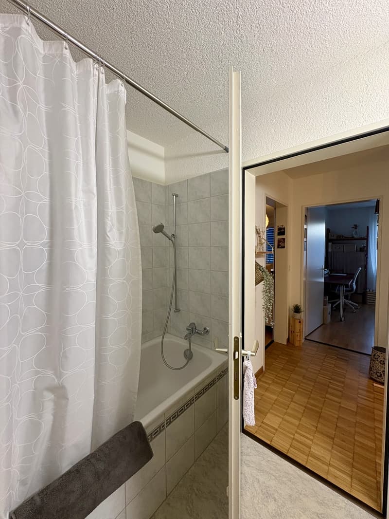 Helle 3.5-Zi. Wohnung an ruhiger Lage (5)