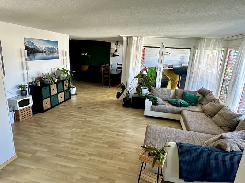 WG Zimmer (3)