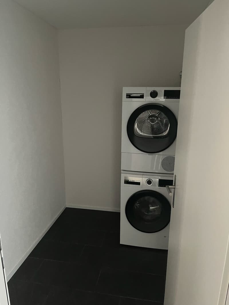 Moderne 4.5 Zimmer Wohnung in zentraler Lage (12)