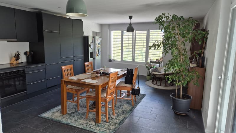 Moderne 4.5 Zimmer Wohnung in zentraler Lage (1)