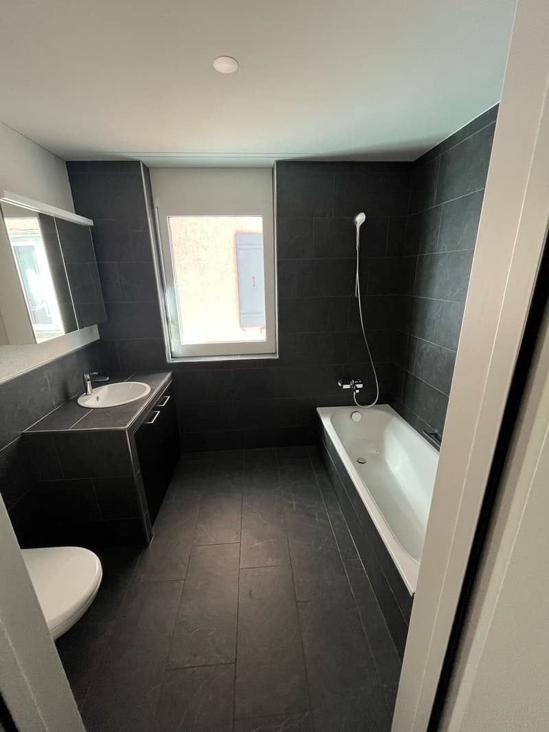 Moderne 4.5 Zimmer Wohnung in zentraler Lage (7)
