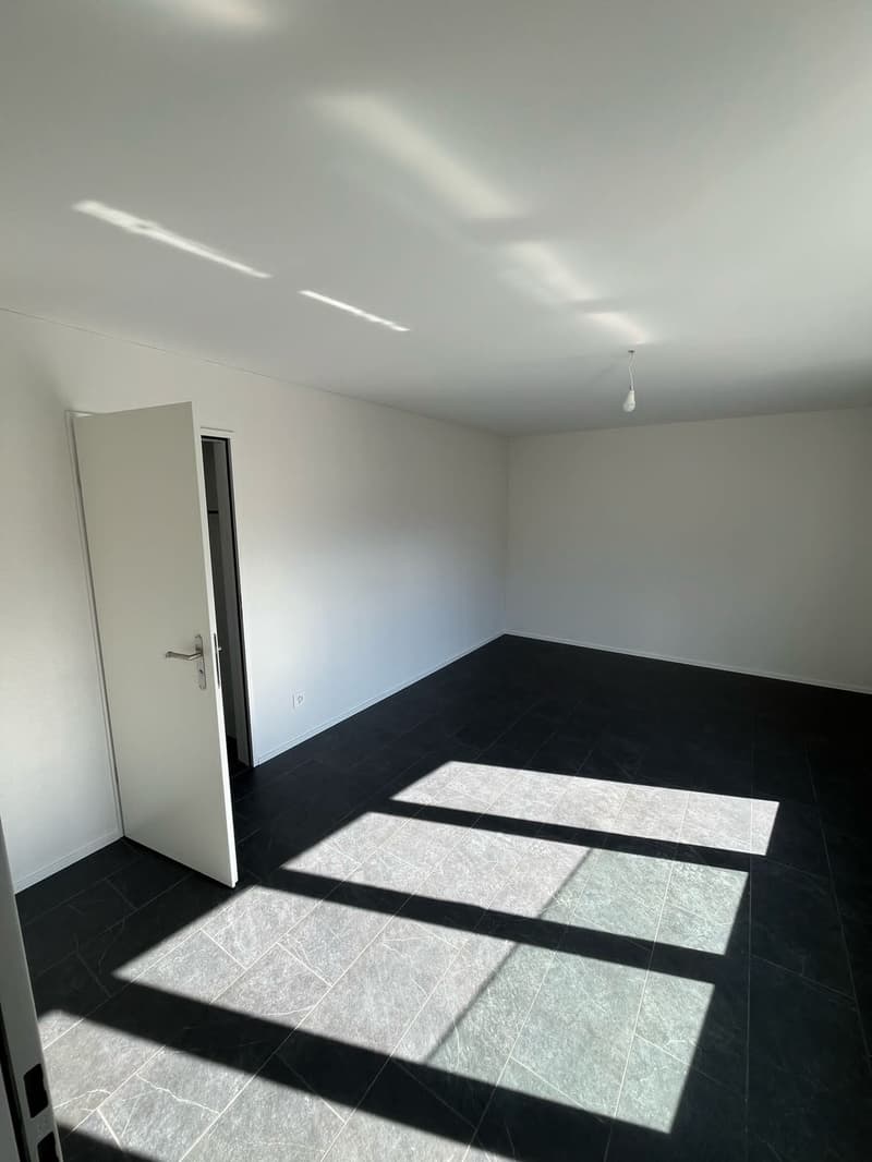 Moderne 4.5 Zimmer Wohnung in zentraler Lage (8)