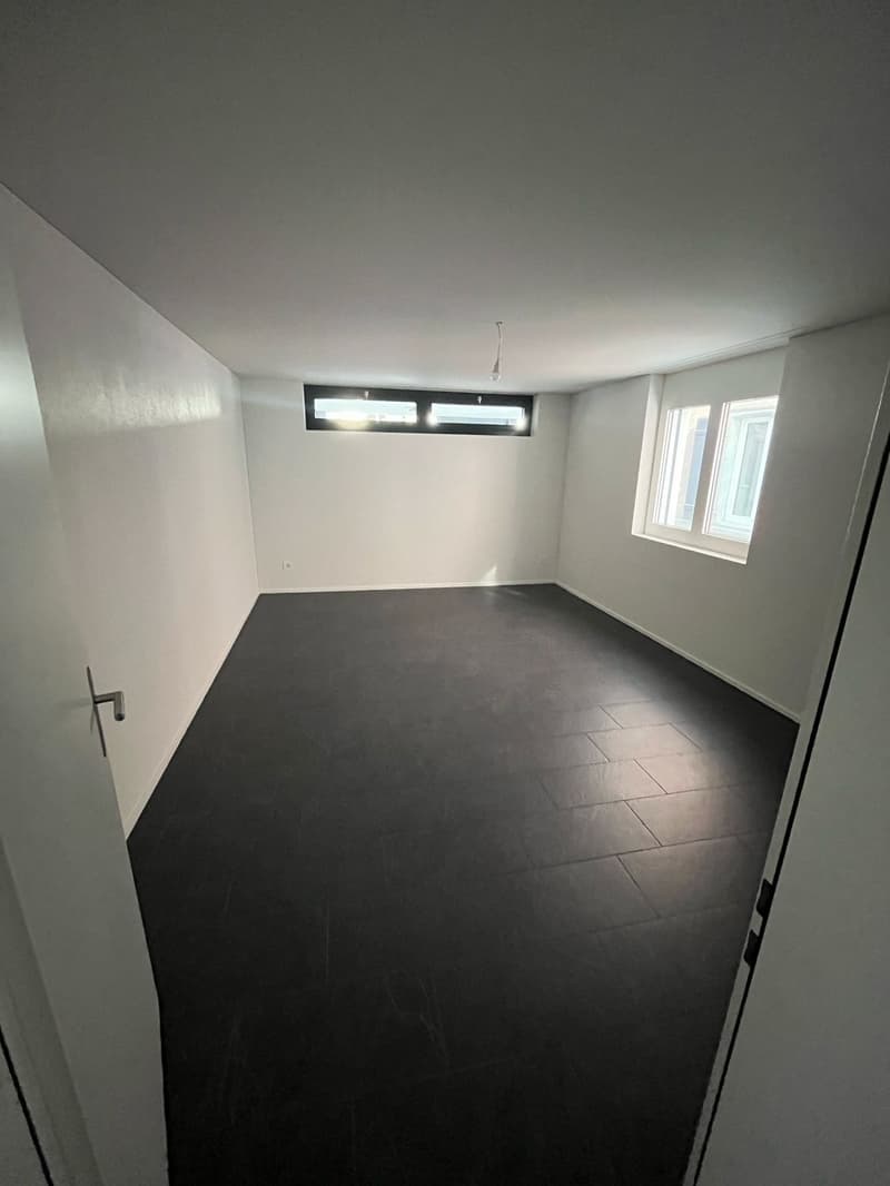 Moderne 4.5 Zimmer Wohnung in zentraler Lage (6)
