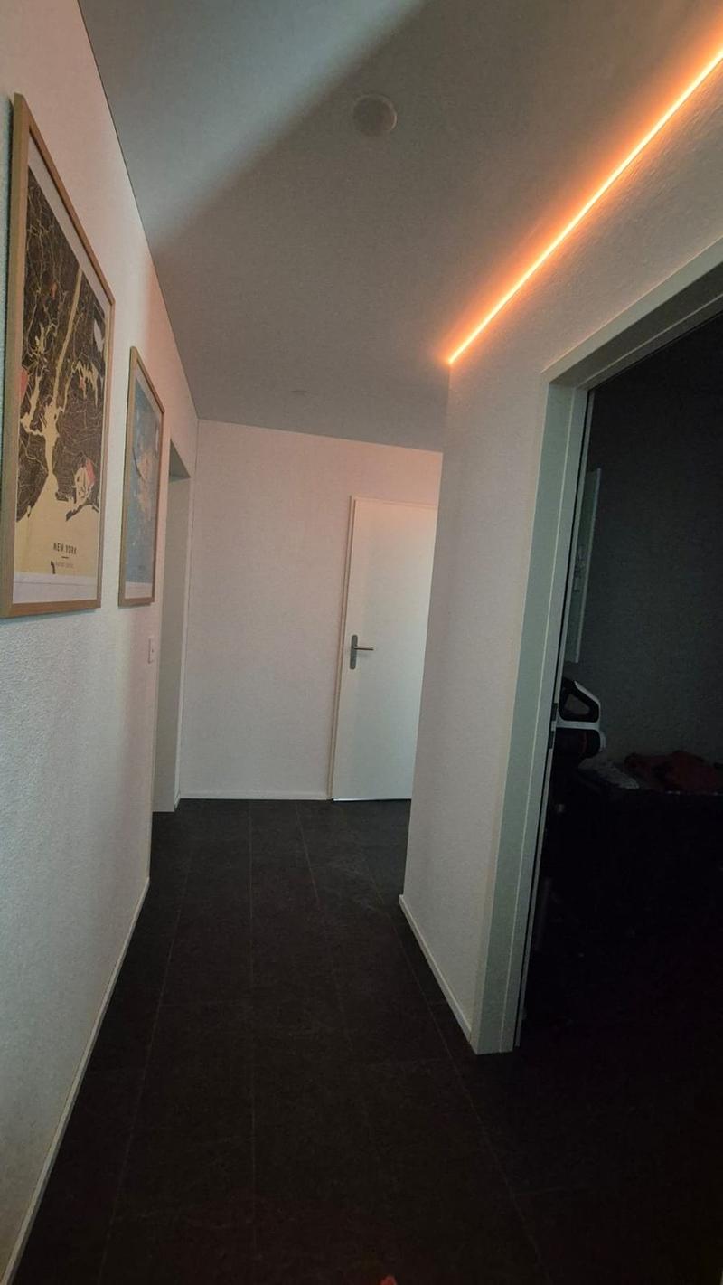 Moderne 4.5 Zimmer Wohnung in zentraler Lage (4)