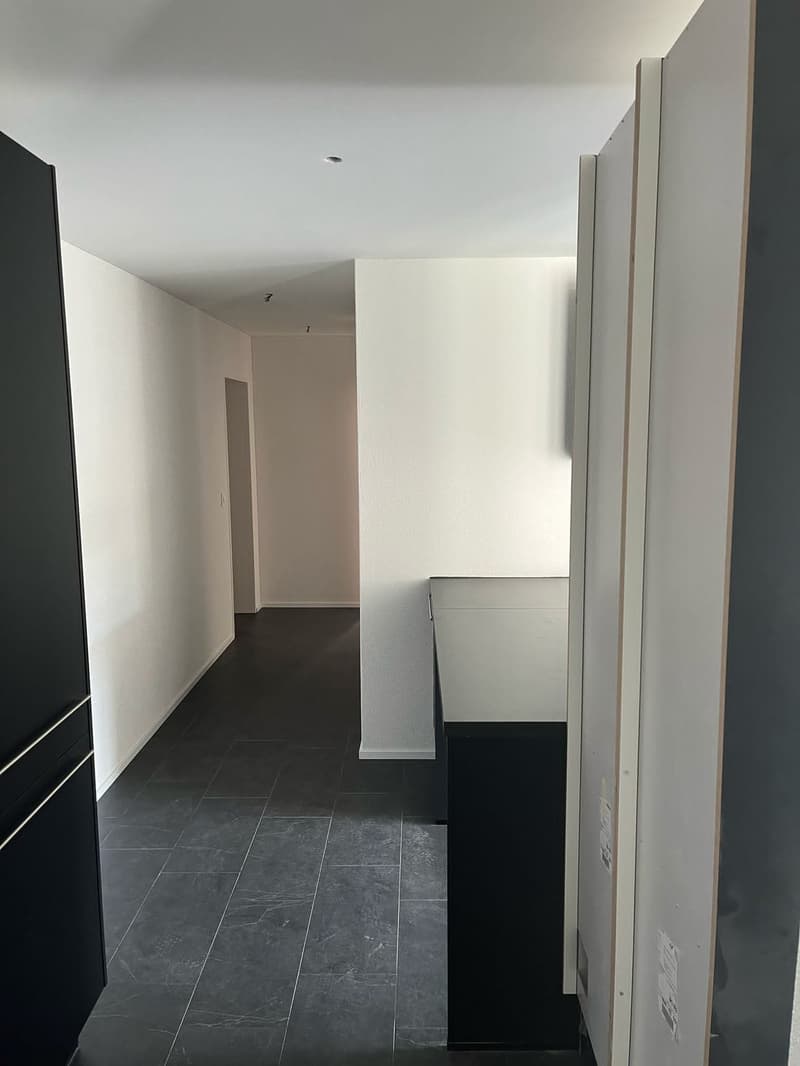 Moderne 4.5 Zimmer Wohnung in zentraler Lage (3)