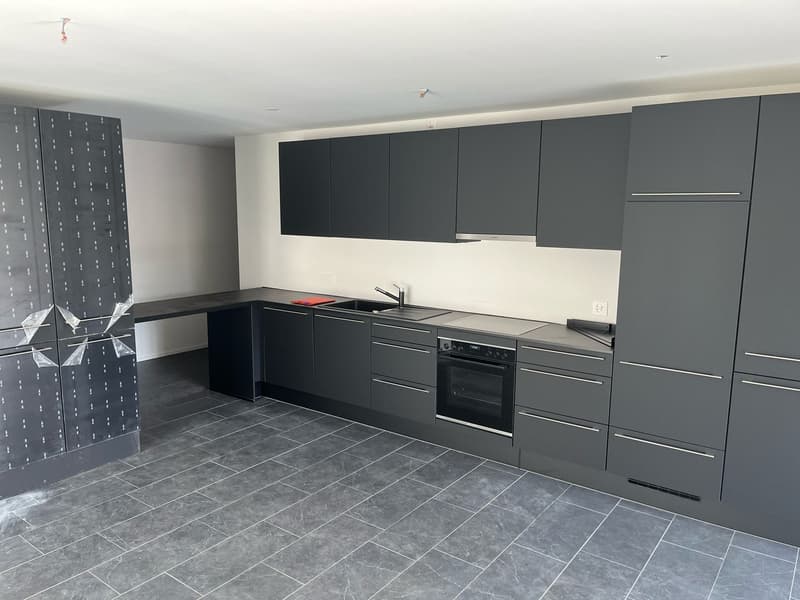 Moderne 4.5 Zimmer Wohnung in zentraler Lage (11)