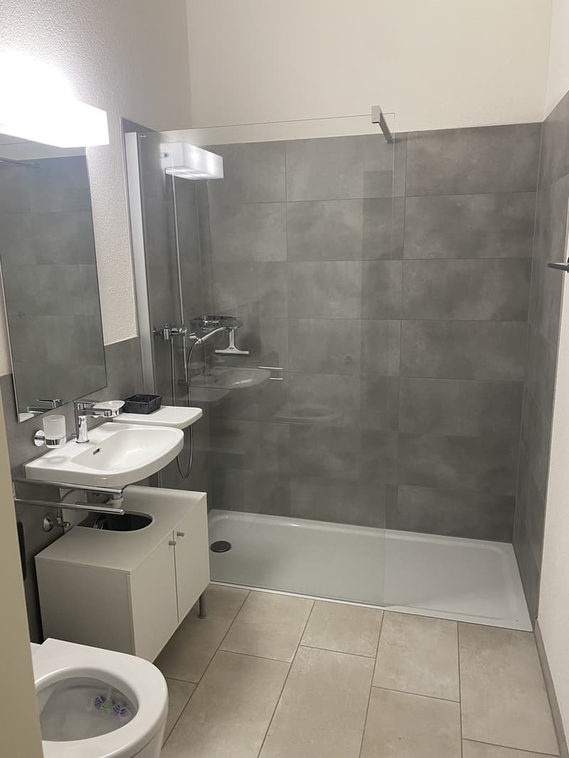 1.5 möbilierte Zimmer Wohnung (1)