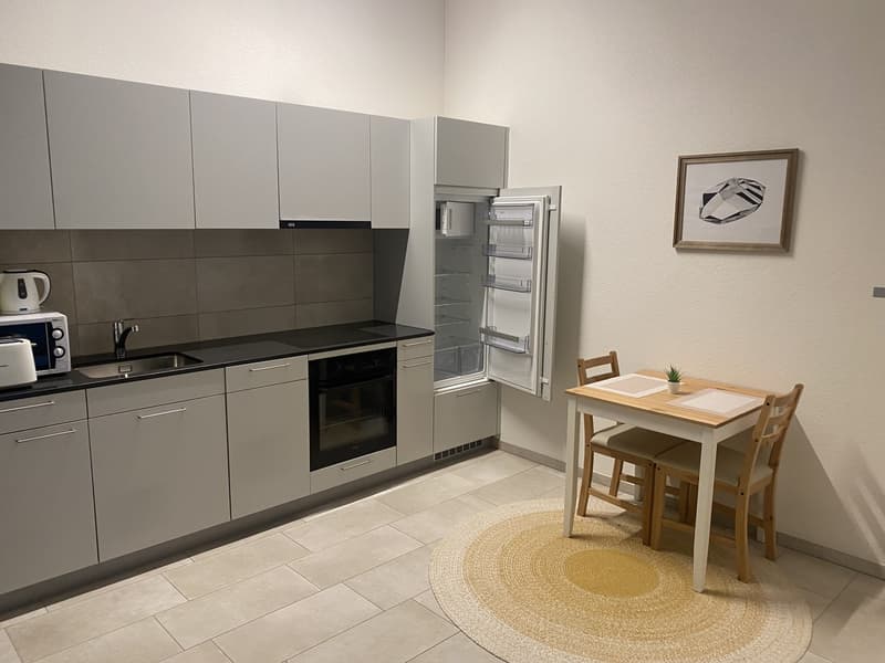 1.5 möbilierte Zimmer Wohnung (5)