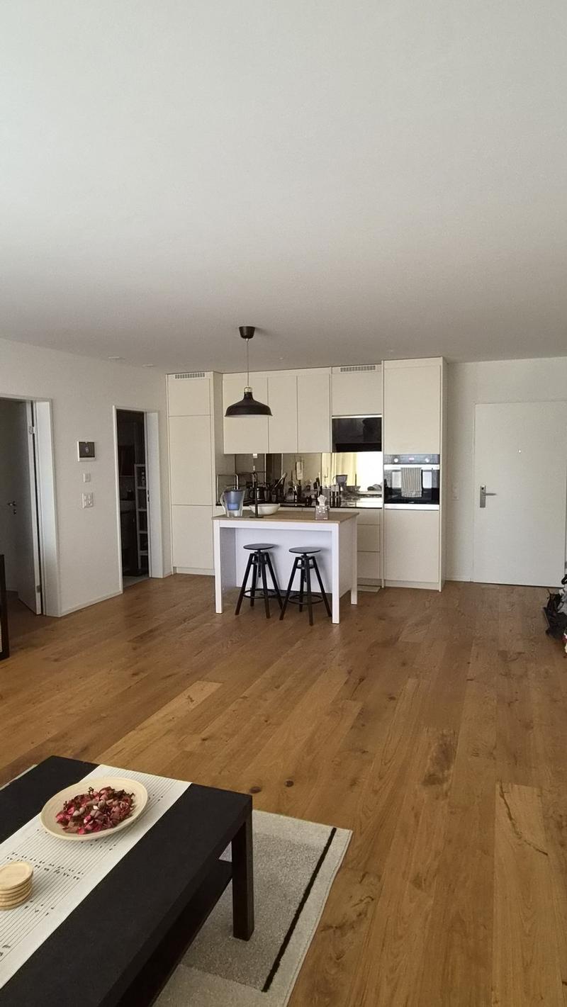 Lovely 2.5-room apartment available from the mid-November (2)