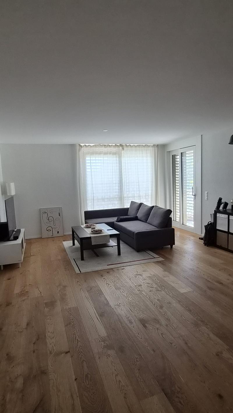 Lovely 2.5-room apartment available from the mid-November (1)
