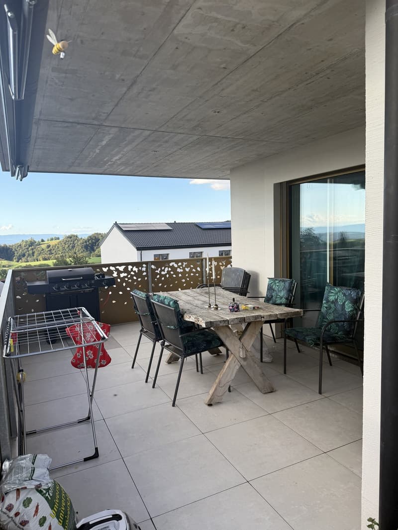 2.5 Zimmer Gartenwohnung per 1.10.26/1.11.26 (3)