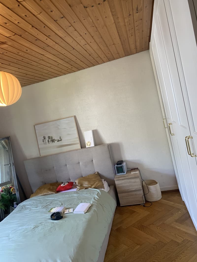 Colocation à Lausanne (5)