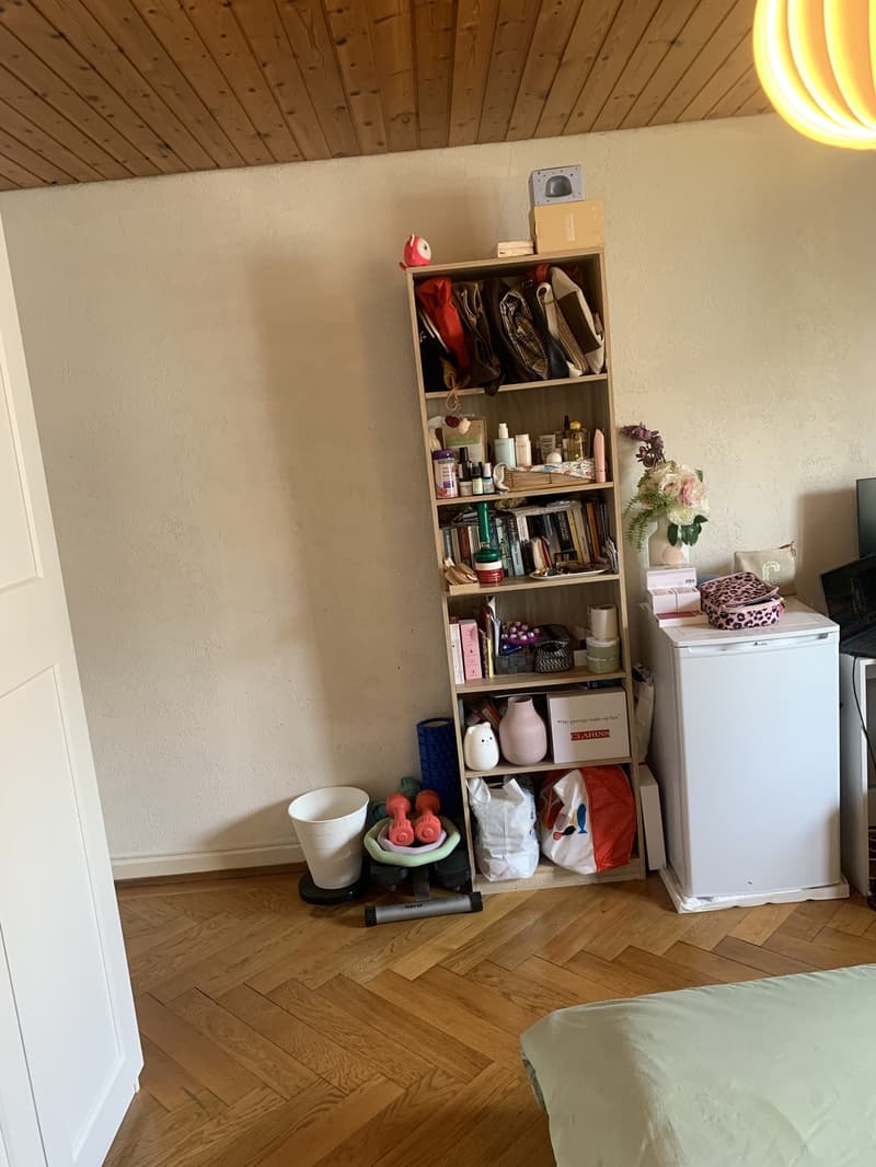 Colocation à Lausanne (4)