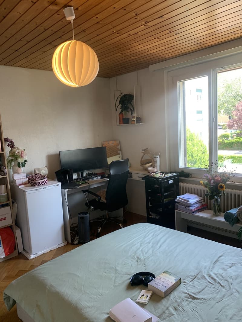 Colocation à Lausanne (2)