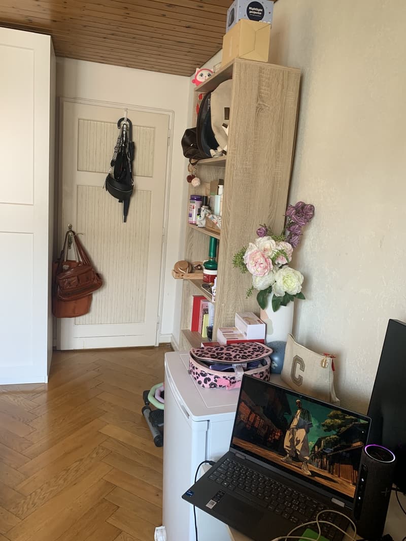 Colocation à Lausanne (6)