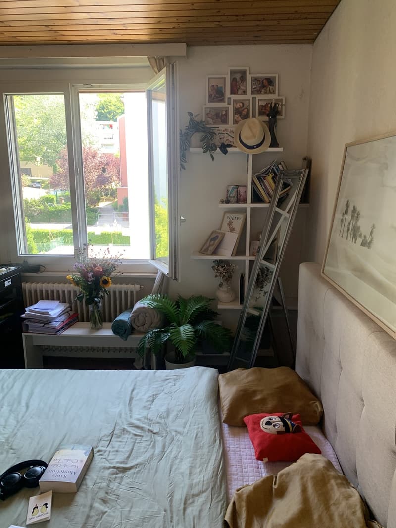 Colocation à Lausanne (3)