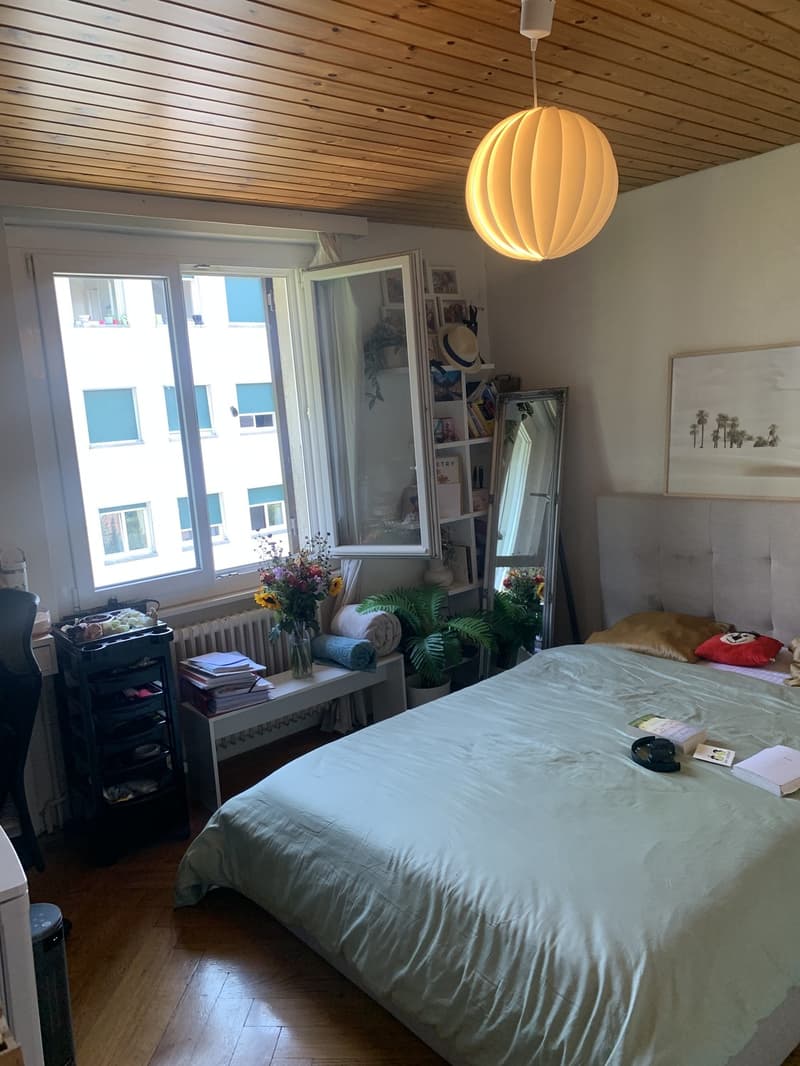 Colocation à Lausanne (8)
