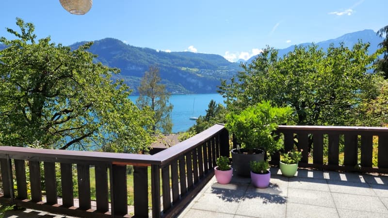 3,5 Zimmer Wohnung mit Blick auf See im Kastanienbaum (5)