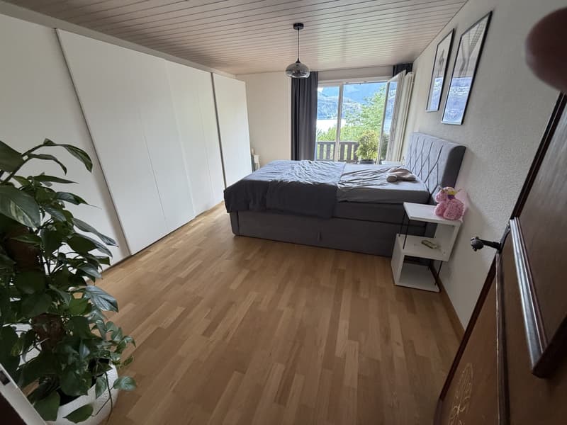 3,5 Zimmer Wohnung mit Blick auf See im Kastanienbaum (10)