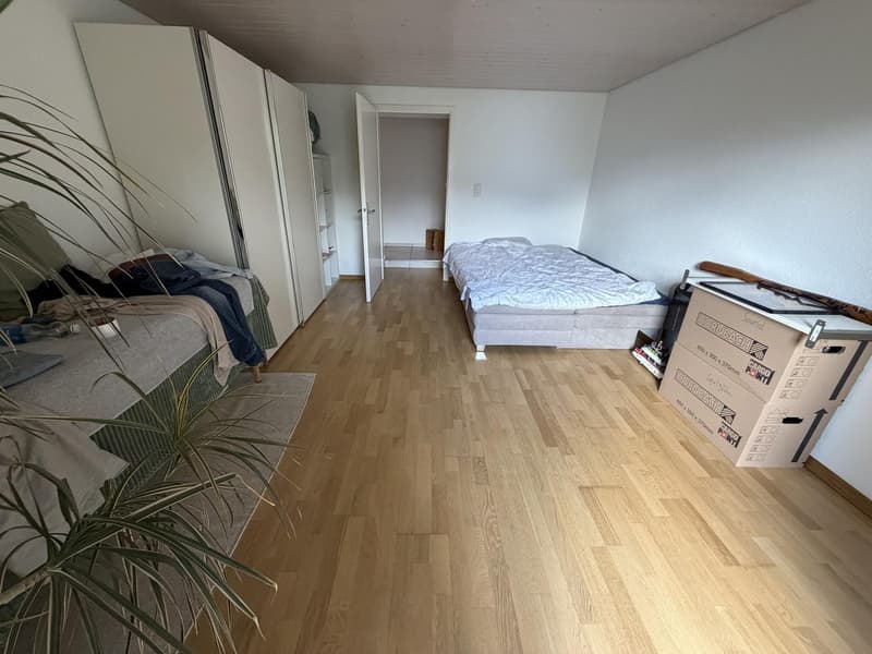 3,5 Zimmer Wohnung mit Blick auf See im Kastanienbaum (11)
