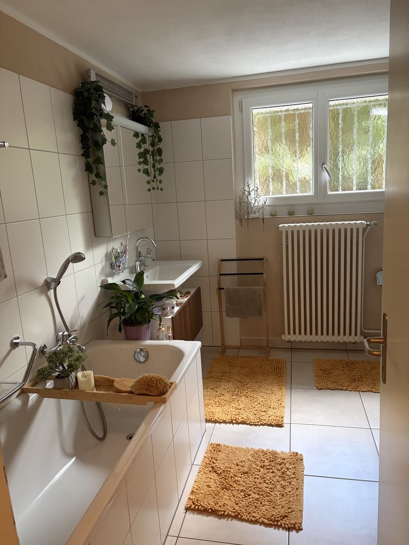 3,5 Zimmer Wohnung mit Blick auf See im Kastanienbaum (8)