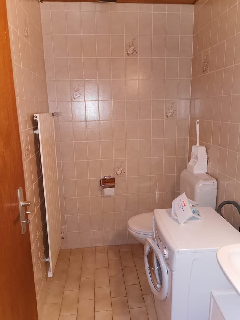 Grand studio 60 m² avec mezzanine, Neyruz (FR) (12)