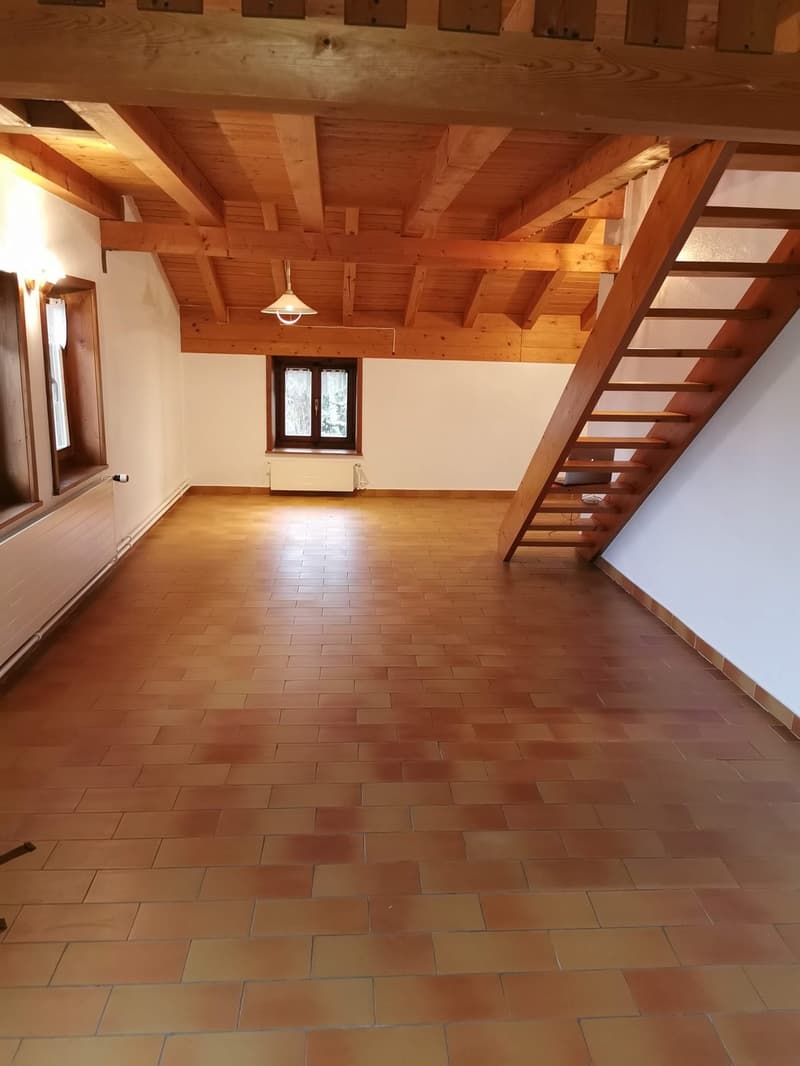 Grand studio 60 m² avec mezzanine, Neyruz (FR) (10)